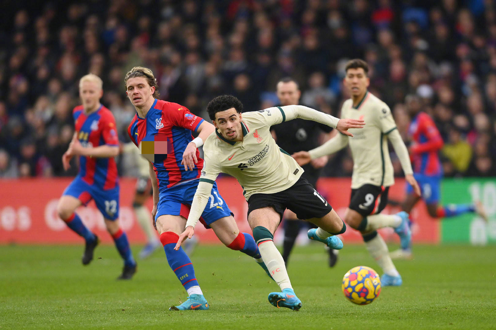 著名球员梅 著名球员梅