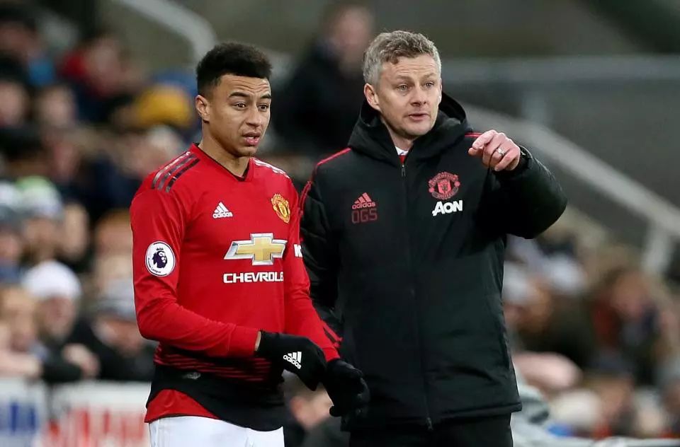 但在本土球 但在本土球