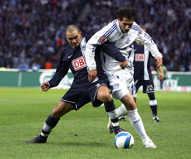 动员合作的 动员合作的